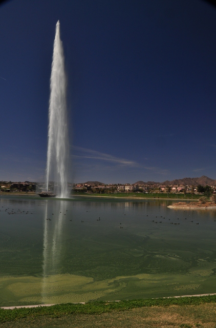 the fountain